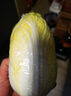 三宝白菜（大娃娃菜）约650g 实拍图