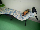 甄严选折叠床单人午休床折叠躺椅家用办公室午睡床简易行军床医院陪护床 特宽方管沉稳黑190*68 实拍图