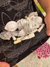 京润珍珠（gNPearl）小光圈面膜 光感白珍珠粉精华面膜粉 美白淡斑涂抹式泥膜软膜 实拍图