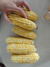 玢果萱水果玉米云南现摘新鲜爆浆甜玉米生吃牛奶玉米棒子苞谷黄糯代餐 净重4.5斤 严选装【单果300g+】 实拍图