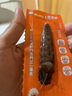 渔大叔 即食皮皮虾肉169g虾爬子高蛋白高钙海味零食大连特产休闲食品 实拍图
