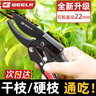 捷立（GeeLii）园艺剪刀 果树剪树枝剪刀  修枝剪花剪树枝专用剪神器 75045 实拍图