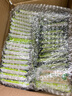比比赞（BIBIZAN）椰奶味薄脆饼干1000g/箱早餐办公室休闲零食品代餐饱腹整箱2斤 实拍图