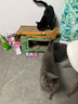 顽皮（Wanpy）Happy100果饭儿系列宠物零食猫罐头三文鱼80g*12罐 猫湿粮 实拍图