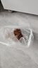 金鼎軒 红糖馒头 360g(6个装) 北京口味 儿童早餐 馒头花卷 包子面点 实拍图