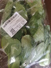 上海青（油菜）约500g 实拍图