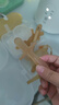 马博士婴儿牙胶磨牙胶棒小蘑菇宝宝安抚玩具防吃手牙咬胶3件套 实拍图