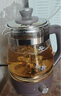 小熊（Bear）煮茶器养生壶蒸汽喷淋式 玻璃加厚黑茶煮茶壶小型迷你办公室蒸茶器全自动泡茶炉电热烧水壶 ZCQ-A10X1 喷淋式煮茶 1L 实拍图