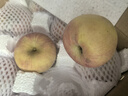 云南高山冰糖心丑苹果新鲜水果整箱礼盒脆甜多汁正宗丑苹果 5斤 特级大果（80-85） 实拍图