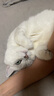Orijen渴望猫粮 成猫幼猫干粮 六种鱼肉无谷全价通用进口5.4kg效期26/5 实拍图