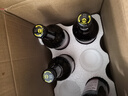 泰山啤酒（TAISHAN） 10度原浆啤酒百香果精酿果啤450mL*6瓶 源头直发 实拍图