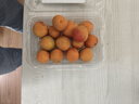 新疆吊干杏约250g 实拍图