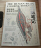 大脑笔记：脑科学版《秘密花园》神经系统涂色学习手册 实拍图