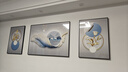 诗六艺家饰客厅装饰画北欧现代简约沙发背景墙挂画三联画大气轻奢壁画晶瓷画 前程似锦（铝合金外框） 晶瓷画左右50*70+中间100*70亮面 实拍图