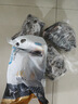 温氏 供港老乌鸡2.8斤 黑金土乌鸡 400天龄老乌鸡 冷冻散养火锅食材 实拍图