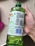 立白茶籽洗洁精 洗洁剂 去污洁净99%除菌 轻松去油不伤手500g 实拍图
