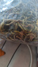 六养源长白山肾精草60g 肾精茶嗷嗷叫黄金草金钱草猫爪草滋补泡水泡酒 实拍图