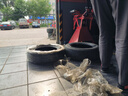 韩泰（Hankook）汽车轮胎 195/65R15 91H SK70 适配卡罗拉/朗逸/宝来/雷凌/福睿斯 实拍图