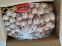 楼兰蜜语【京觅专供】新疆新二薄皮核桃2500g原味核桃纸皮送礼盒坚果零食 实拍图