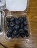 京鲜生 国产蓝莓 4盒 14mm+装125g/盒 生鲜水果 源头直发 包邮 实拍图