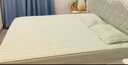 洁丽雅大豆夹棉床笠单件床罩新款席梦思床垫保护罩防尘罩防滑床单套床裙 豆绿【A类标准 可裸睡】 120cm*200cm 单床笠 实拍图