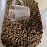 愛肯拿（ACANA）猫粮 牧场盛宴成猫幼猫粮 高蛋白无谷进口鸡肉粮5.4kg 效期26/4 实拍图