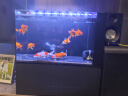 创宁变频潜水泵 CN-9500-13W 10档流量调节 鱼缸假山喷泉池循环抽水 实拍图