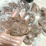 鲜京采甄选 原切带芯后腱 4斤 卤牛腱子肉 炖煮健身食材  京东自有品牌 实拍图