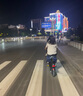普莱德新国标折叠电动自行车超长续航轻骑电动车铝合金代驾车锂电池助力男女成人电瓶车代步电单车 豪华版-汽车S级电芯40A-纯电续航≤120km 实拍图