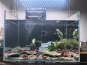 派乐特 鱼缸过滤材料水族火山石陶瓷环细菌球器材用品十二合一滤材1kg 实拍图