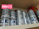 百威冰啤酒500ml*18听整箱装【99%好评】  实拍图