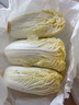 云南高原娃娃菜新鲜蔬菜生鲜乾隆白菜早餐火锅必备产地直发 浅黄色 新鲜娃娃菜3颗装*3包 实拍图