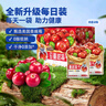 三只松鼠每日蔓越莓干256g/16包 无添加美国进口烘焙水果干果脯休闲零食 实拍图