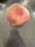 京觅无锡阳山水蜜桃 净重4斤+ 单果5-6两 8个 新鲜水果 源头直发包邮 实拍图