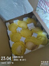 头茬早甜脆小蜜蜂蜜罐甜瓜现摘星甜20应季新鲜水果香瓜白糖罐 热卖款【5斤装】超值优惠 实拍图