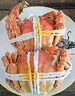 【活蟹】阳澄联合大闸蟹 鲜活六月黄2.8-3.1两 8只螃蟹去绳足重海鲜礼盒装源头直发 实拍图