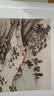 沈周东庄图册 甄选21帧明代绘画大师山水花鸟画作品集 单片装帧高清还原可临摹鉴赏可装饰收藏画册页正版浙江人民美术出版社图书籍 实拍图