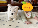 babycare电动毛绒小狗配饰玩偶节日送礼-西高地+橙色活力套装 实拍图