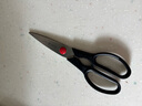 双立人（ZWILLING）TWIN Point 剪刀厨房剪刀家用多用剪辅食剪鸡骨剪食物剪家用厨具 实拍图