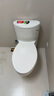 科勒（KOHLER）水漾连体抽水马桶坐便器1级水效喷射虹吸式节水大冲力400mm4165T 实拍图