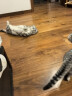 麦富迪猫罐头 营养低盐补水冻干猫零食湿粮猫条 吞拿鱼鸡肉味170g*24 实拍图