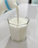 简爱原味裸酸奶 1.08kg*1瓶 家庭装大桶酸奶 生牛乳发酵 乳酸菌早餐奶 实拍图