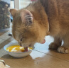 普安特宠物猫咪驱虫药驱虫体内体外驱虫跳蚤犬虱非泼罗尼爱滴克套装 实拍图