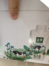 蒙牛精选牧场原生高钙纯牛奶梦幻盖250ml*10盒【肖战推荐】礼盒 实拍图