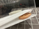 REPTIZOO/瑞皮爬宠加热垫带温控加热垫守宫蛇乌龟蜥蜴自动恒温 【智能温控6w】赠固定双面胶 实拍图