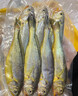 舟山渔场小黄鱼11-13条/斤(含冰25%)黄花鱼野生海捕源头直发 野生小黄鱼10条/袋*1袋 实拍图
