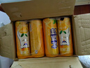北冰洋 橙汁汽水330ml*24罐 果汁碳酸饮料整箱 实拍图