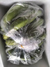 高山精品甜蕉现摘新鲜水果香蕉孕妇宝宝辅食搭配丫丫生鲜特产 9斤装【青蕉发货】 实拍图