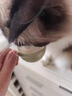 味当家猫零食猫条猫罐头补水汤包成幼猫咪零食鱼籽奶昔80g*10包猫饭奶糕 实拍图
