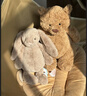 Jellycat害羞米色邦尼兔毛绒玩具柔软安抚玩偶公仔送礼潮玩娃娃生日礼物 米色 Small 实拍图